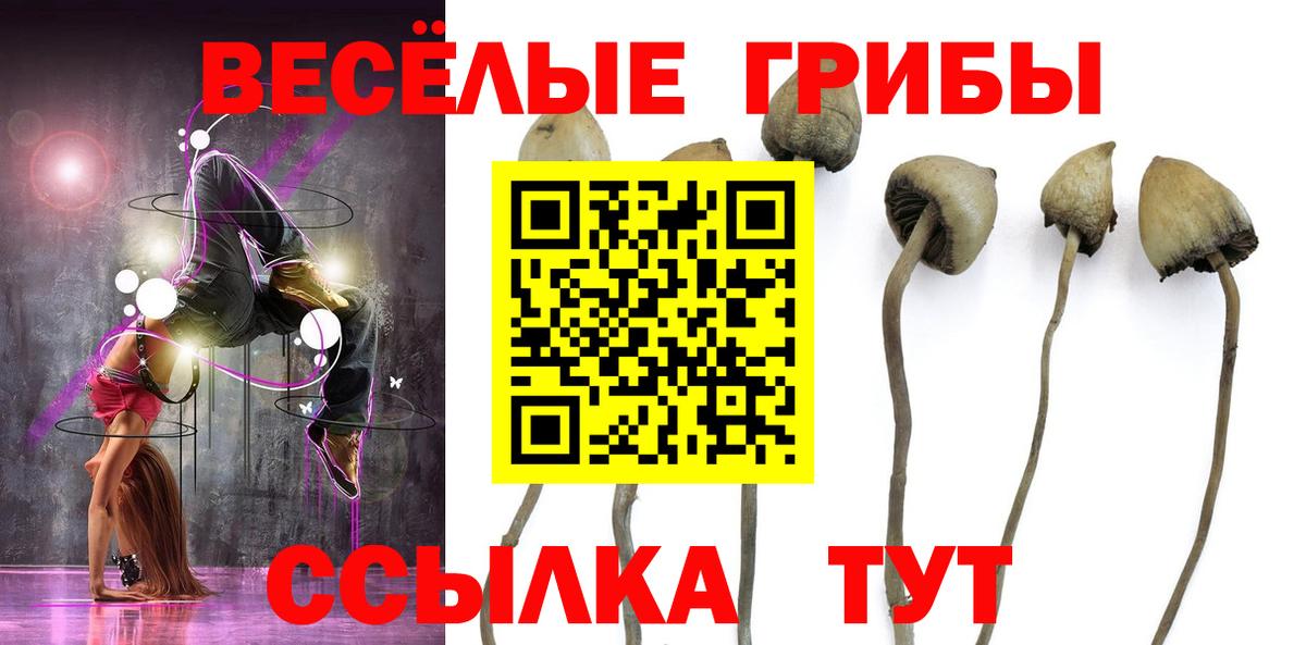 Унеча  Галлюциногенные грибы GOLDEN TEACHER  Псилоцибиновые грибы MAGIC MUSHROOMS  Вход с VPN 